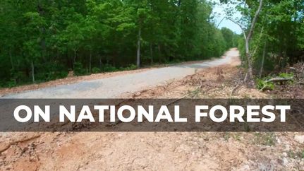 Undeveloped Land in Howell County, Missouri