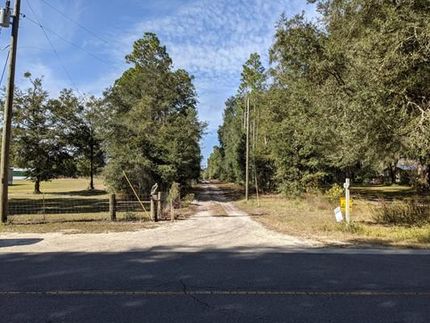 Undeveloped Land in Suwannee County, Florida