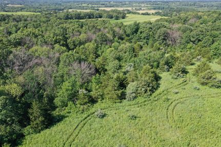 Timberland Property in Putnam County, Missouri