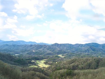 Undeveloped Land in Madison County, North Carolina