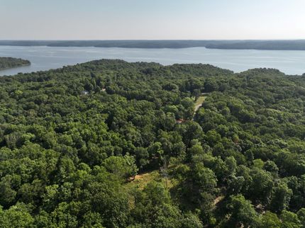 Timberland Property in Calloway County, Kentucky