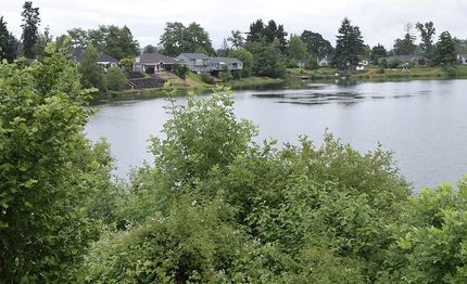 Lakefront Property in Lewis County, Washington