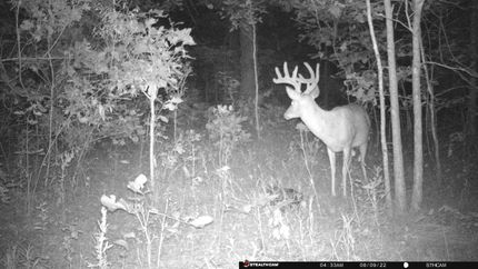 Land in Randolph County, Missouri