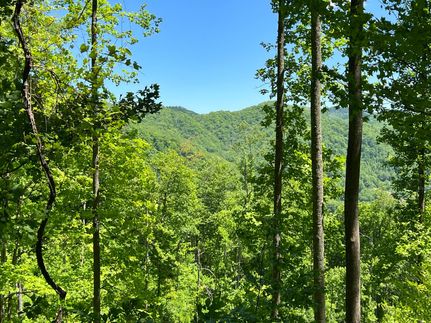 Recreational Property in Madison County, North Carolina