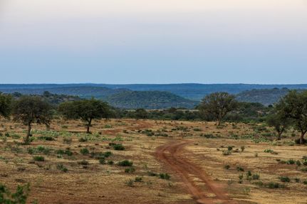 Farm and Ranch in Mason County, Texas