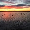 Land in Saint Francis County, Arkansas