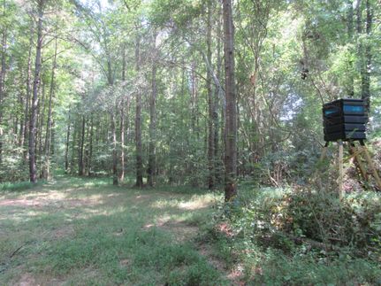 Farm and Ranch in Marion County, Alabama