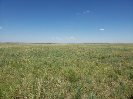 Hunting Property in Washington County, Colorado
