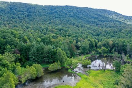 Timberland Property in Morgan County, Tennessee