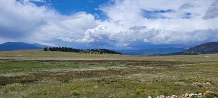 Undeveloped Land in Park County, Colorado