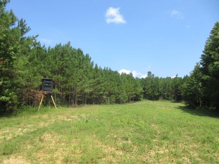Farm and Ranch in Marion County, Alabama