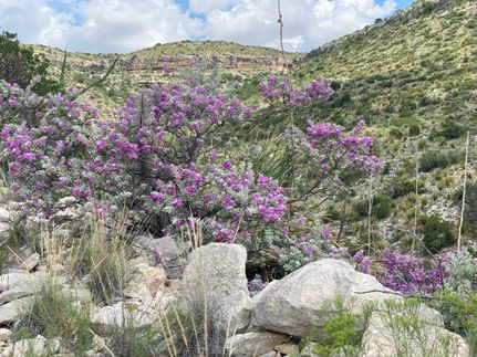 Recreational Property in Crockett County, Texas