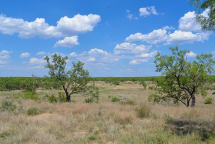 House in Coleman County, Texas