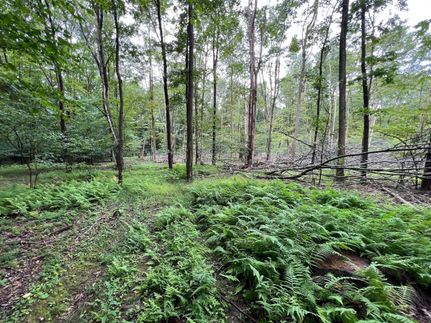 Timberland Property in Warren County, Pennsylvania