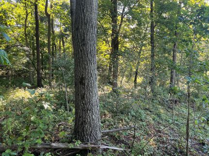 Timberland Property in Venango County, Pennsylvania