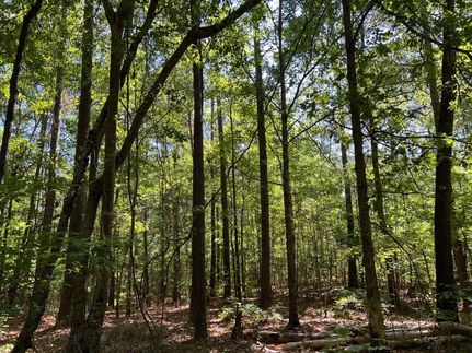 Farm and Ranch in Meriwether County, Georgia