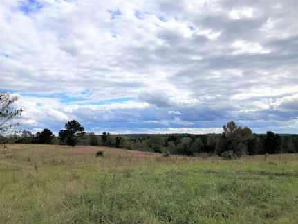 Undeveloped Land in Baldwin County, Georgia