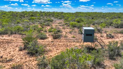 Farm and Ranch in Atascosa County, Texas