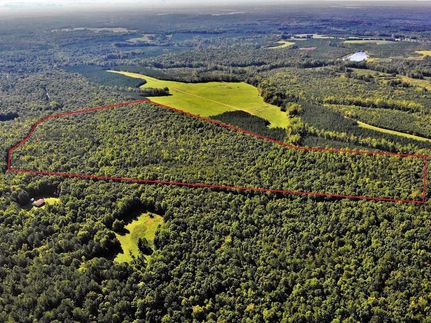 Timberland Property in Mecklenburg County, Virginia