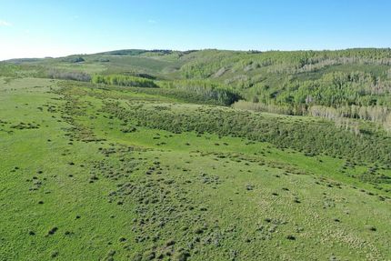Undeveloped Land in Rio Blanco County, Colorado