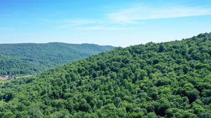 Undeveloped Land in Delaware County, New York