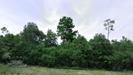 Recreational Property in Putnam County, Florida