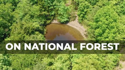 Hunting Property in Howell County, Missouri