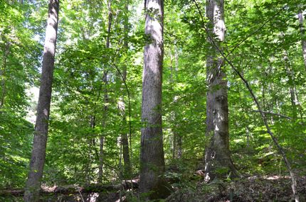Land in Jackson County, Illinois