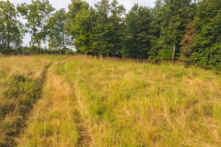 Undeveloped Land in Floyd County, Virginia