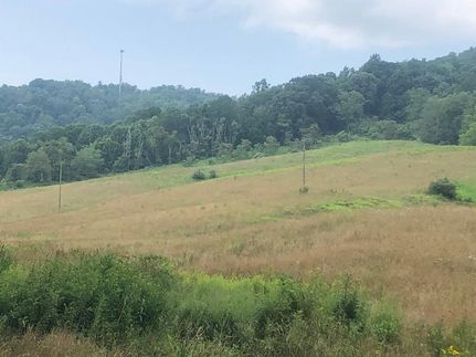 Undeveloped Land in Washington County, Virginia
