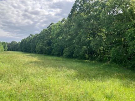 Farm and Ranch in Copiah County, Mississippi