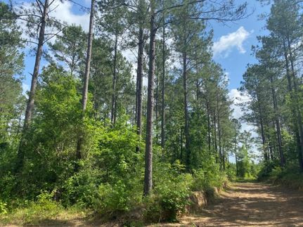 Timberland Property in Lincoln County, Mississippi