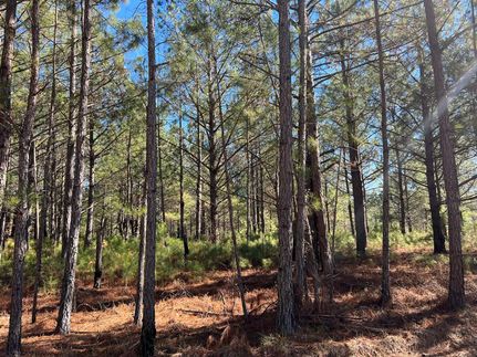 Land in Johnson County, Georgia
