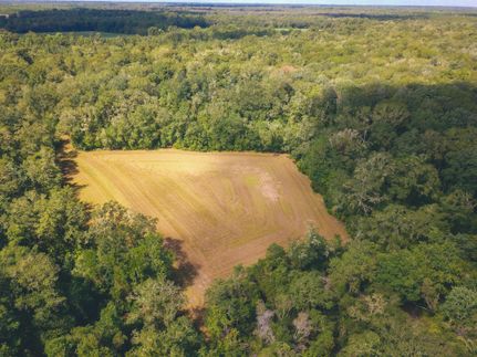Farm and Ranch in Lowndes County, Georgia