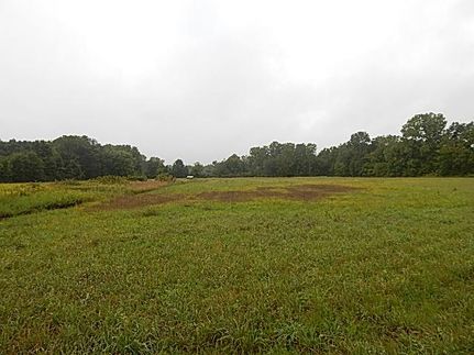 Farm and Ranch in Wayne County, Michigan