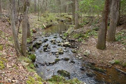Recreational Property in Richland County, South Carolina