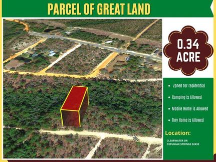 Undeveloped Land in Walton County, Florida