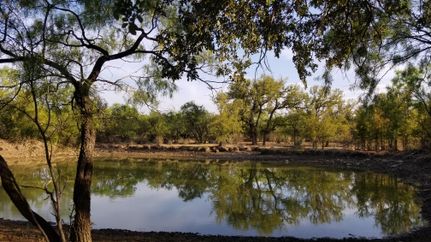 Farm and Ranch for sale in San Saba County, Texas