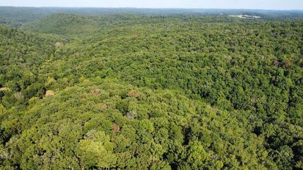 Undeveloped Land in Searcy County, Arkansas