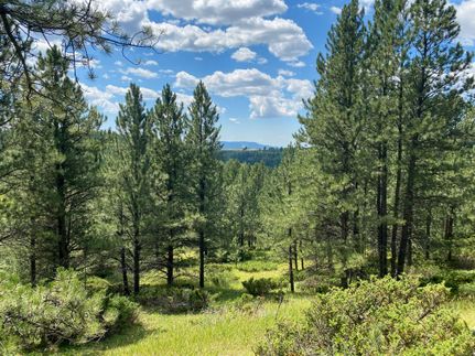 Farm and Ranch in Weston County, Wyoming