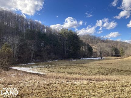Timberland Property in Harrison County, West Virginia