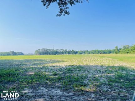 Timberland Property in Columbus County, North Carolina