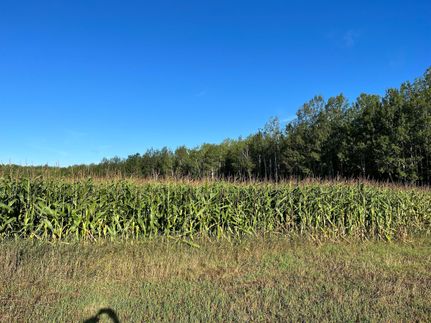 Farm and Ranch in Bayfield County, Wisconsin