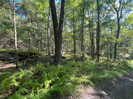 Recreational Property in Pike County, Pennsylvania