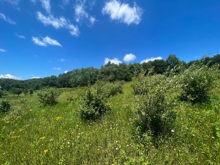 Farm and Ranch in Sauk County, Wisconsin