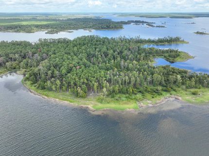 Undeveloped Land in San Augustine County, Texas