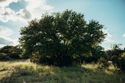Recreational Property in Sutton County, Texas