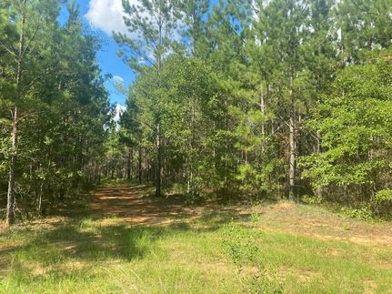 Undeveloped Land in Calhoun County, Georgia