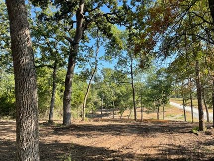 Land for sale in Leon County, Texas