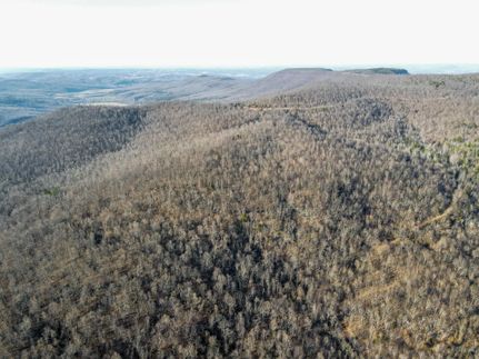 Undeveloped Land in Searcy County, Arkansas